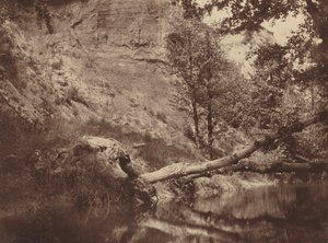Riverbank,c. 1855 (fotó)