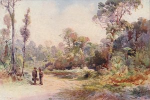 Új-Zéland: (színes litográfia) alkotó: Frank H Wright