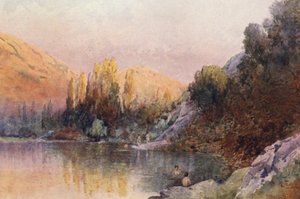 Új-Zéland: (színes litográfia) alkotó: Frank H Wright