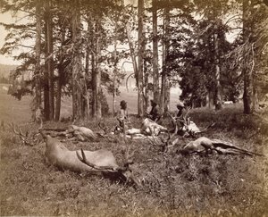 Elk Hunters, Yellowstone, 1880 körül (albumin ezüst nyomat)