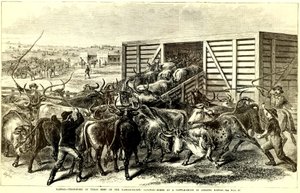 Szarvasmarha csúszda, Abilene, Kansas, kb. 1871 (metszet)