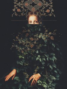 „Patience II” – Frank Moth