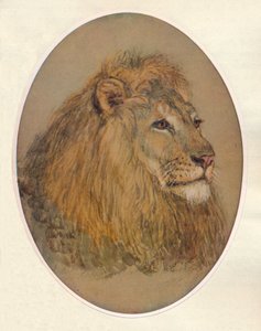 Oroszlánfej, c1896