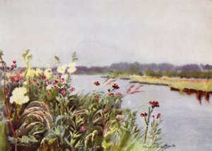 Norfolk Broads: A Bure Bank (színes litho)