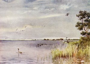 Norfolk Broads: Horsey Mere alkotó: Frank Southgate