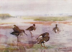 Norfolk Broads: Redshank (színes litho) alkotó: Frank Southgate