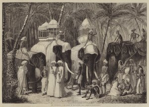 Travancore Rajah elefántjai alkotó: Frank Vizetelly