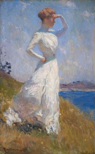 napfény