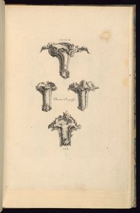 Staple Designs alkotó: François de Cuvilliés the Elder