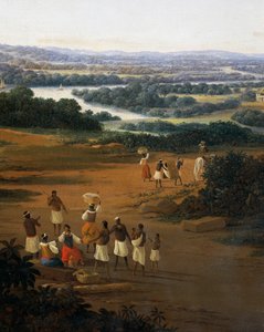 Serinhaem falu Brazíliában vagy egy cukornádültető otthona Brazíliában (olaj, vászon) alkotó: Frans Post