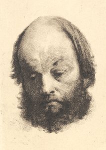 Feketeszakállú férfi, Garibaldi alkotó: Frans Schwartz