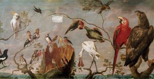 Frans Snyders (Snijders) madárkoncert festménye (1579-1657) 17. századi Madrid, Prado Múzeum