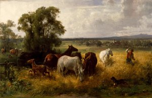 F. Adam, Túl a karámon
