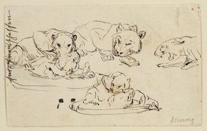 Pergő Sundapanthers alkotó: Franz Barwig d. Ä.
