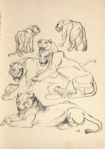Hat puma alkotó: Franz Barwig d. Ä.