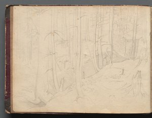 Album Róma és környéke nézeteivel, Tájképek, 01b. oldal: Római táj alkotó: Franz Johann Heinrich Nadorp