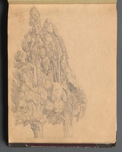 Album Róma és környéke kilátással, Tájtanulmányok, 13a. oldal: Fák alkotó: Franz Johann Heinrich Nadorp