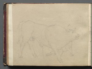 Album Róma és környéke kilátásaival, Tájtanulmányok, 51b. oldal: Tanulmány egy bikáról. alkotó: Franz Johann Heinrich Nadorp