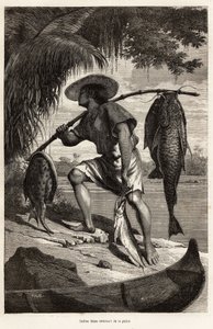 Indiai Moxo (Mojo, Moxeno) (a Mato Grosso régióból) horgászatból visszatérve, metszet a narrátor rajza után, az Amazonas és a Madeira felfedező utazását illusztrálva, 1874-ben, Franz Keller Leuzinger, megjelent a „” Le tour du alkotó: Franz Keller