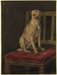 Mopsz alkotó: Franz Krüger