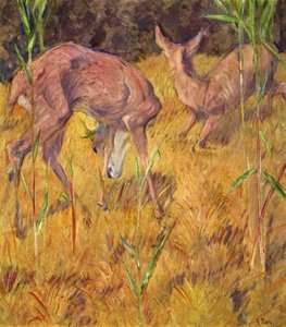 Szarvas a nádasban alkotó: Franz Marc
