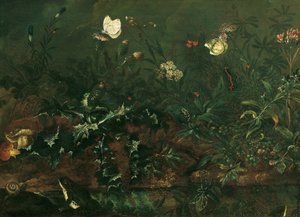 Gyepdarab bogáncs, békák és szitakötő alkotó: Franz Michael Siegmund von Purgau d. Ä.