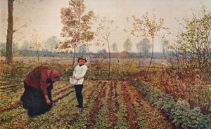 The Violet Field, 1867, c1915