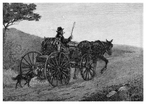 Egy kólaci nyúlfogó, 1886.