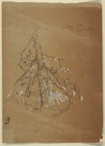 Egy göcsörtös örökzöld, Grand Manan, Kanada alkotó: Frederic Edwin Church