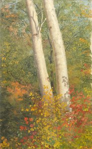 Nyírfák ősszel alkotó: Frederic Edwin Church