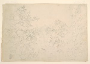 Gesztenyefák a víz szélén alkotó: Frederic Edwin Church