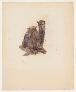 Guggoló dromedár alkotó: Frederic Edwin Church
