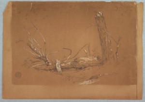 Rajz, Törött holtfa, 1855-65 alkotó: Frederic Edwin Church