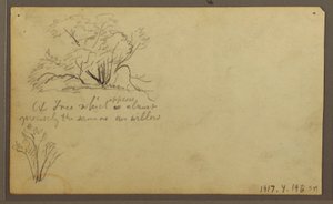 Rajz, A Hut on Posts, Guayaquil, Ecuador, 1857. május alkotó: Frederic Edwin Church