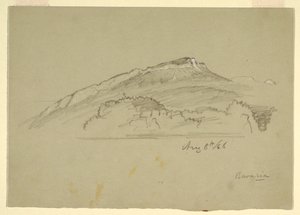 Rajz, Egy fa, Bajorország, 1868. augusztus 8. alkotó: Frederic Edwin Church
