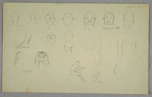 Rajz, anatómiai tanulmányok, 1865-70 alkotó: Frederic Edwin Church