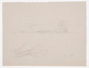 Rajz, Botanikai vázlatok: tájkép, fák a parton, 1876. szeptember alkotó: Frederic Edwin Church