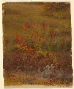Rajz, Botanikai tanulmányok, 1865. október alkotó: Frederic Edwin Church