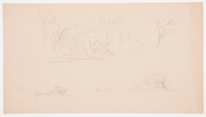 Rajz, Botanikai vázlatok: fa, fák a parton, 1876. szeptember alkotó: Frederic Edwin Church