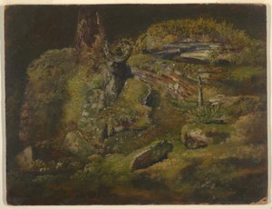 Rajz, Szikla az erdőben, 1845 körül. alkotó: Frederic Edwin Church