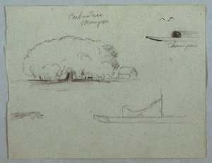 Rajz, Ceiba fa Momposnál, Champan kenu, fák és egy részleges csónak, Rio Magdelena, Kolumbia, 1853, valószínűleg május alkotó: Frederic Edwin Church