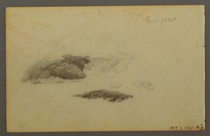 Rajz, korhadt nyírfa, 1844 alkotó: Frederic Edwin Church
