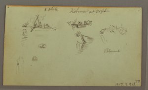 Rajz, figurális tanulmányok, csomag szamár, vitorlás, talán 1868 alkotó: Frederic Edwin Church