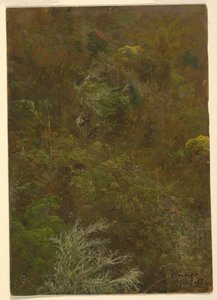 Rajz, Domboldal Bokrokkal és fákkal borított domboldal, 1865. július alkotó: Frederic Edwin Church