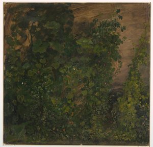 Rajz, dzsungel vegetáció, 1865 alkotó: Frederic Edwin Church