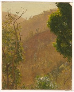 Rajz, tájkép, 1865 július alkotó: Frederic Edwin Church