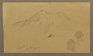 Rajz, Tájkép, növények, Bloxburgh, 1865 augusztus alkotó: Frederic Edwin Church