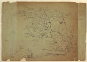 Rajz, Tájkép fákkal és patakkal [], Grand Manan-sziget, Kanada, 1851 szeptembere alkotó: Frederic Edwin Church