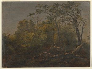 Rajz, Maine Woods, 1845-55 alkotó: Frederic Edwin Church
