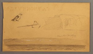 Rajz, Ember csónakban, madár, sziklák, tengerpart, 1859. július 6. alkotó: Frederic Edwin Church